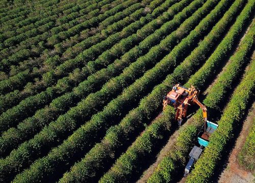 Agro soma R$ 1,26 bilhão em contratações do BRDE no Paraná e banco prepara programação especial para Show Rural 2026