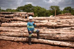 Recorde histórico no tratamento de cargas agrícolas e florestais em Rondonópolis/MT