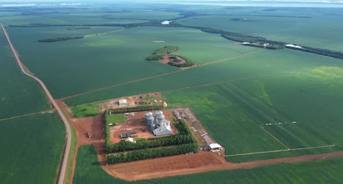 Canal Rural transmite Abertura Nacional da Colheita da Soja 2025/2026 nesta sexta-feira, direto de Porto Nacional (TO)