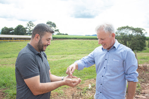 Castrolanda supera 20 mil de toneladas de cevada e registra maior safra em sete anos