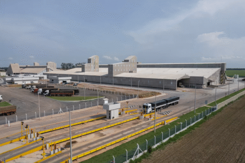 Cibra substitui gás natural por biomassa e reduz 78% das emissões de carbono em Camaçari