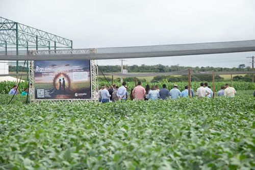 Conceito Sementes apresenta novas cultivares em dia de campo em Rio Verde e reforça compromisso com o produtor rural
