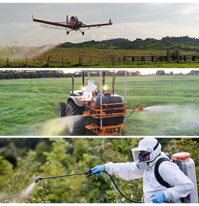 Controle de plantas daninhas em áreas de pastagem pode aumentar o carbono no solo
