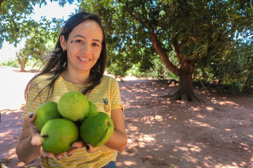 SP garante R$ 829 milhões em crédito e apoio ao agro e fortalece mais de 42 mil produtores rurais em três anos