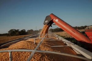 Estão abertas as inscrições para o Concurso de Produtividade do Milho Inverno