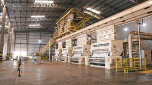 Conheça o ciclo do algodão, uma alternativa sustentável à indústria da moda