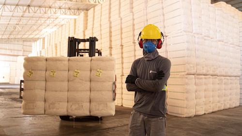 Conheça o ciclo do algodão, uma alternativa sustentável à indústria da moda