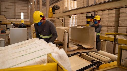 Conheça o ciclo do algodão, uma alternativa sustentável à indústria da moda