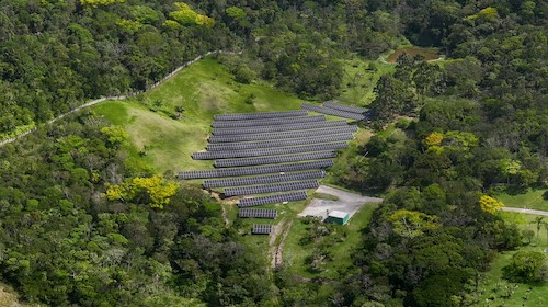 Fazenda solar no Sul do país compensa emissão de CO₂ equivalente a 2 mil árvores plantadas em menos de um ano