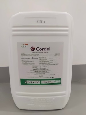 Grupo Santa Clara lança bionematicida com combinação exclusiva de bacilos para combater nematóides em cana-de-açúcar