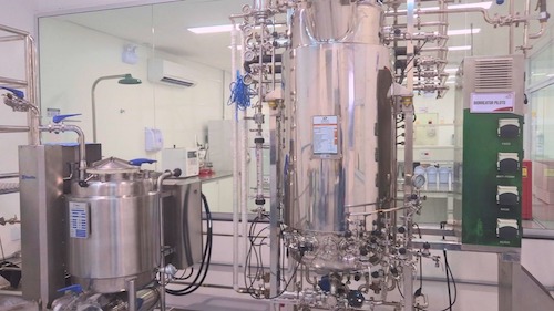 Grupo Santa Clara lança bionematicida com combinação exclusiva de bacilos para combater nematóides em cana-de-açúcar