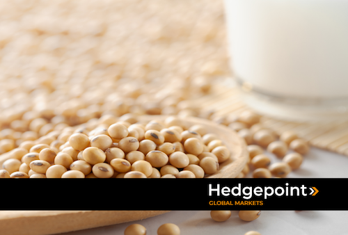 Hedgepoint projeta safra de soja do Brasil em 179,5 milhões de toneladas na temporada 2025/26