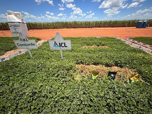Eficiência operacional e segurança na aplicação pautam demandas do produtor no Dia de Campo Turma do Amendoim