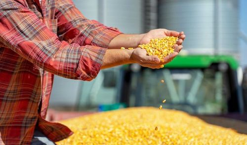 Produtividade do milho como chave para sucesso do agricultor: IHARA se une às principais consultorias do Brasil para o GETAP 2026