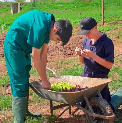 Agropecuária cresce 10% no segundo trimestre de 2025 e impulsiona busca por cursos técnicos no setor