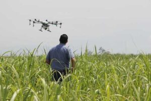 Quando os drones vão substituir os aviões na agricultura?