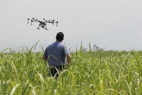 Quando os drones vão substituir os aviões na agricultura?