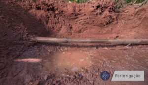 Gotejamento subterrâneo transforma desafios climáticos em resultados no campo: Fazenda Jahu mantém uniformidade produtiva mesmo na seca