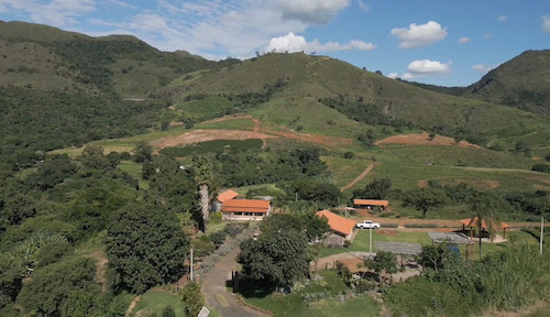 Tecnologia que transforma: irrigação por gotejamento impulsiona produção de café e avocado na Fazenda Vale do Tajá