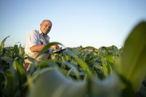 Nitro apresenta pré-lançamento exclusivo e soluções biológicas de alta performance no Coopershow 2026
