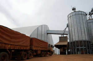 Safra 2026 deve exigir ajustes logísticos e reforça papel estratégico do Transporte Rodoviário de Cargas em Londrina