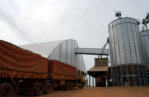 Safra 2026 deve exigir ajustes logísticos e reforça papel estratégico do Transporte Rodoviário de Cargas em Londrina