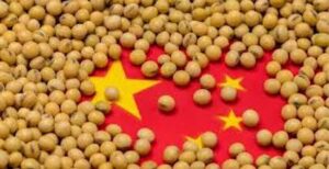 2025 foi marcado por safra de soja recorde no Brasil e peso das importações chinesas
