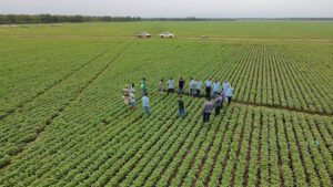 Sumitomo Chemical expande a Expedição da Produtividade e já alcança mais de 5 milhões de hectares visitados no BR