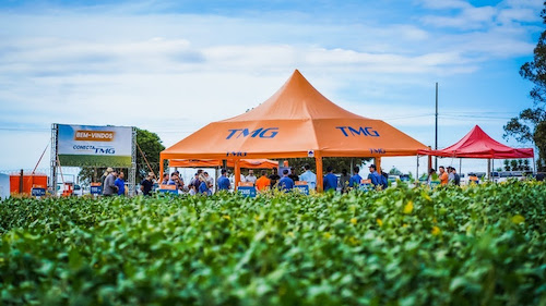 TMG amplia capacidade de pesquisas e experiências para o desenvolvimento de cultivares em Rio Verde (GO)
