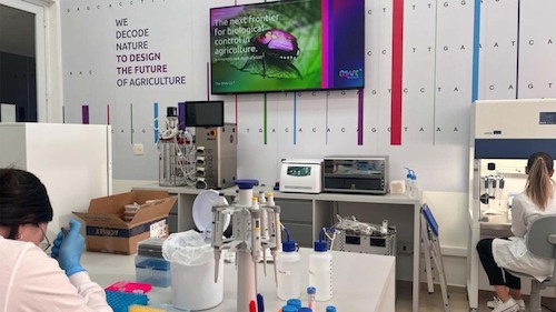 Bioinsumo de RNAi pode inaugurar novo modo de ação para manejo da lagarta-do-cartucho