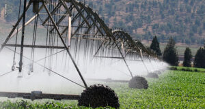 Inversores de frequência trazem automação e eficiência para irrigação e sistemas agrícolas