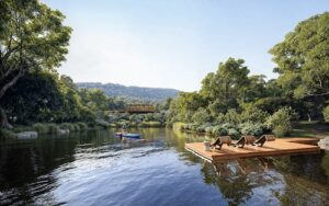 Entenda porquê os swales podem melhorar as cidades