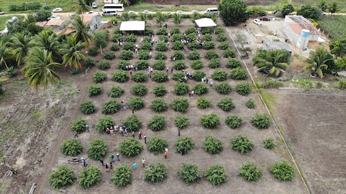 Projeto Lagos do São Francisco inicia fase II com investimento de R$ 2,4 milhões