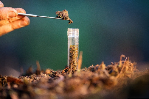 Cuidar do solo é prioridade estratégica: por que a agricultura brasileira precisa de uma visão integrada?