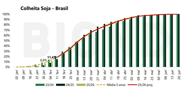  Safra de soja 2025/26: Colheita avança, derruba preços e abre janelas estratégicas para comercialização