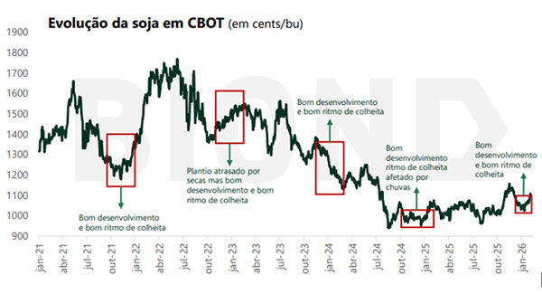  Safra de soja 2025/26: Colheita avança, derruba preços e abre janelas estratégicas para comercialização