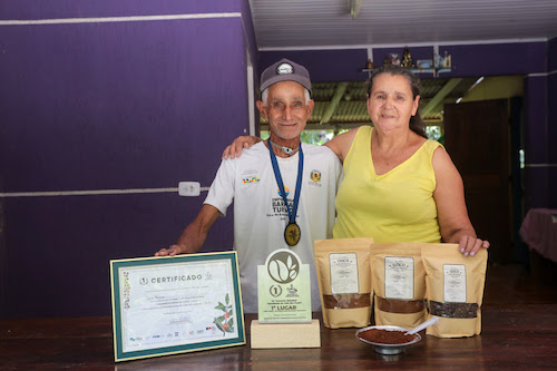 Os produtores rurais, Ozico Pereira (72) e Pedrina Pereira (70), do município de Barra do Turvo, no interior paulista, fizeram história no 24.º Concurso Estadual Qualidade do Café de São Paulo. O casal de agricultores, que estão juntos há 50 anos, obteve a maior nota já alcançada em todas as edições da competição, com a incrível marca de 91,10 pontos (pts), na categoria cereja descascado. Só para se ter uma ideia, até então, a maior pontuação já alcançada foi em 2022, com 90,3 pts. “O café gourmet é de 80 a 85 pontos, enquanto, o especial de 85 a 90 pts. Até então, não existia uma nota acima disso. De quatro anos para cá, agora, os cafés que atingem acima desta pontuação são classificados de extraordinário”, explicou o especialista agropecuário da Diretoria de Assistência Técnica Integral (CATI), Rogério Sakai. Para a produtora Pedrina Pereira, que vem da agricultura familiar e cresceu vendo o pai cultivando café, a simplicidade na produção pode resultar em uma safra bem valorizada. “As mudas de café foram plantadas e para roçar, eu utilizei a roçadeira, depois, realizei apenas duas capinadas. Não precisou de adubo, não precisou de nada”, explicou Pedrina Pereira. Em uma área rural de 6 mil metros quadrados, com uma produção de cerca de 4 mil pés de área plantada de café. A safra da amostra vencedora foi cultivada, há cinco anos, em um sistema agroflorestal. “Nós sofremos muito para chegar até aqui, mas agora estamos colhendo os frutos. Ficamos muito felizes pela conquista deste prêmio”, celebrou Pedrina.