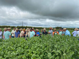 Tec Campo leva atualização técnica aos cooperados da Capal