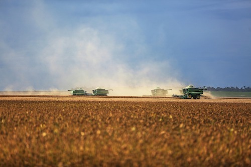 Safra de soja 2025/26 deve alcançar novo recorde no Brasil