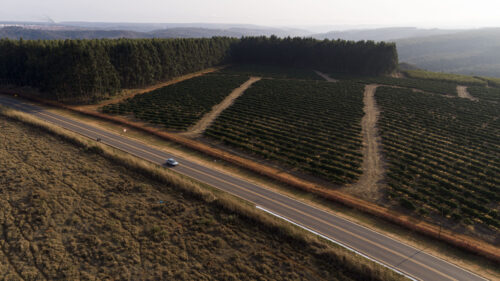 Cafés da Região da Chapada de Minas conquistam Indicação Geográfica