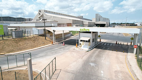 Cibra lança versão interna da assistente virtual Cibele e avança na digitalização da gestão de pessoas