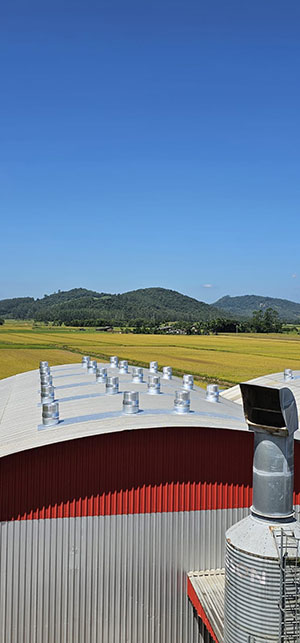 Em tempos de margens apertadas, gestão na armazenagem pode melhorar o caixa da fazenda