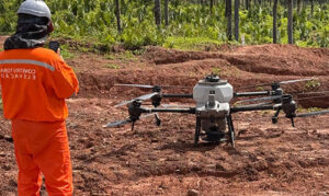 Drones e inteligência artificial aceleram recuperação ambiental em áreas da Amazônia