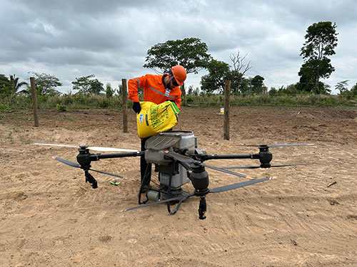 Drones e inteligência artificial aceleram recuperação ambiental em áreas da Amazônia