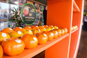 Citricultura brasileira vive ciclo de estratégias com a retomada da produção e o domínio do mercado global