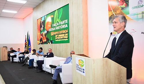 Citricultura brasileira vive ciclo de estratégias com a retomada da produção e o domínio do mercado global