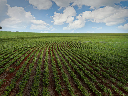 Cultural e comportamental: os desafios invisíveis do agronegócio em 2026