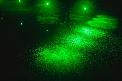 Robô que demonstra pulverização e laboratório prático são destaques do 29º Show Tecnológico de Verão