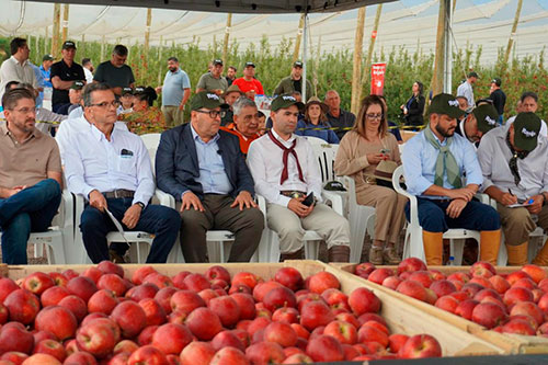 Vacaria sedia abertura oficial da Safra da Maçã 2026 em evento nacional no pomar da Rasip Agro