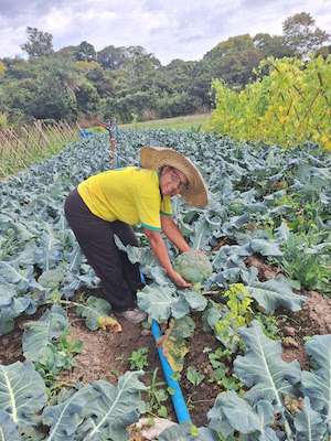  Parceria entre a Harsco e o Governo de Minas completa dois anos, beneficiando mais de 2 mil agricultores, de 201 municípios